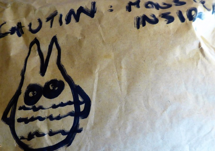 Stella wrapped up and ready to go.