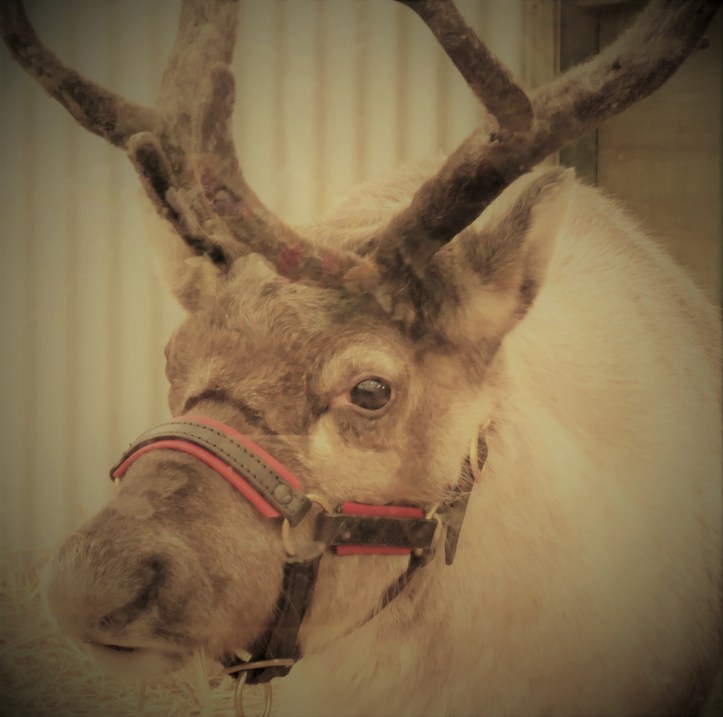 Present delivery system.